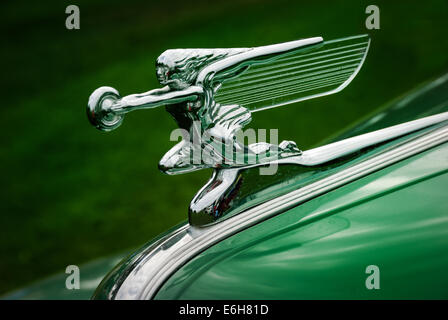 La "déesse de la vitesse' hotte ornement d'argent sur le capot d'une kelly green Packard automobile. Banque D'Images