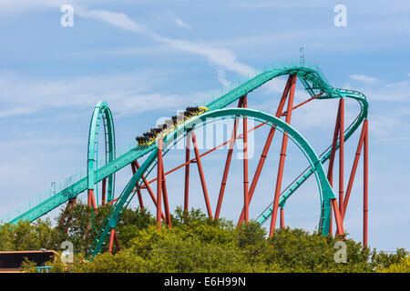 Kumba montagnes russes au parc à thème Busch Gardens à Tampa, Floride, USA Banque D'Images