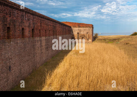 Les graminées d'or à l'extérieur des murs en maçonnerie de la ville historique de Fort Clinch de Fort Clinch State Park à Fernandina Beach, Floride Banque D'Images