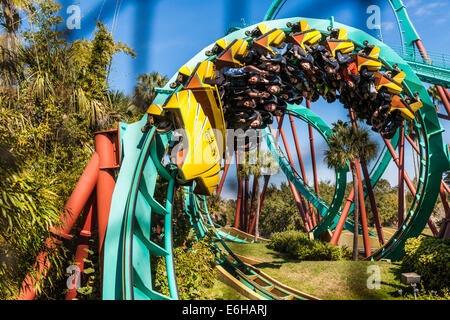 Kumba roller coaster corkscrew vu à travers un filet de sécurité à Busch Gardens à Tampa, Floride, USA Banque D'Images