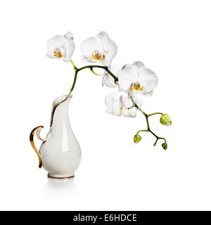 Orchidée blanche fleurs dans vase rétro isolé sur fond blanc Banque D'Images