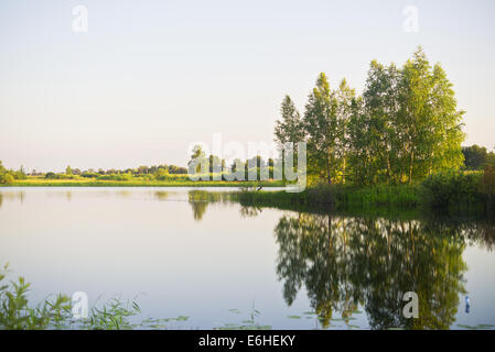 Matin sur un lac Banque D'Images