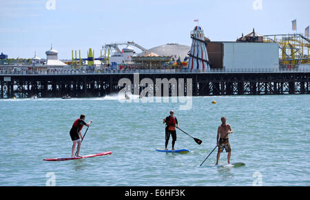 Brighton Sussex UK 24 Août 2014 - Paddle boarders profiter du soleil sur la plage de Brighton aujourd'hui avec le temps devrait tourner humide pour la Bank Holiday Monday photographie prise par Simon Dack/Alamy Live News Banque D'Images