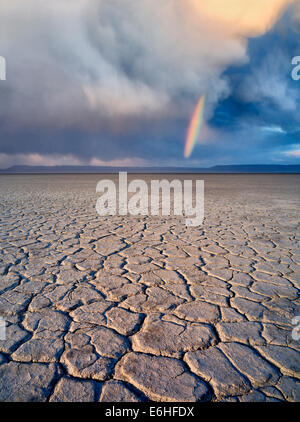 Alvord Desert avec arc-en-ciel. Harney Comté (Oregon). Banque D'Images