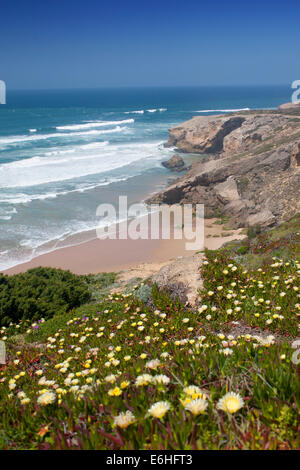 Près de la plage de Monte Clerigo sur Costa Vicentina avec fleurs de printemps Parque Natural da Sudoeste Alentejano e Costa Vicentina Portugal Banque D'Images