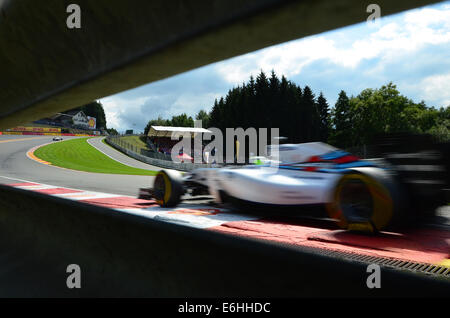 Spa Francorchamps, Belgique, le 24 août, 2014. Felipe Massa (BRA), Williams Racing team, à la Belgique, Grand Prix de Formule 1 de Spa Francorchamps. Crédit : Kevin Bennett/Alamy Live News Banque D'Images