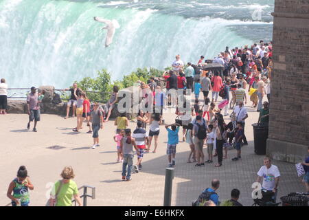 Table Rock est au cœur de Niagara Parks - où chaque année plus de 8 millions de visiteurs se tenir près de l'eau tonitruantes rushi Banque D'Images