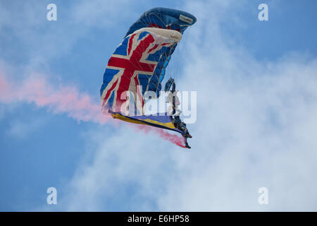 Dunsfold, UK. 23 août, 2014. L'Équipe de parachutisme en chute libre des tigres, qu'on voit ici, sont le fleuron de l'équipe du Princess of Wales's Royal Regiment, dont l'ancienneté découle de la Tanger Regiment de 1661 et donc a la particularité d'être le premier régiment d'infanterie anglais de la ligne. Soldats du Régiment sont recrutés à partir de Kent, Surrey, Sussex, Hampshire, Londres, île de Wight et îles de la Manche. Les membres de la Tigers sont composés de volontaires de plusieurs bataillons du régiment. Les Tigres des démonstrations dans tout le pays la majorité de ce qui serait réalisé wi Banque D'Images