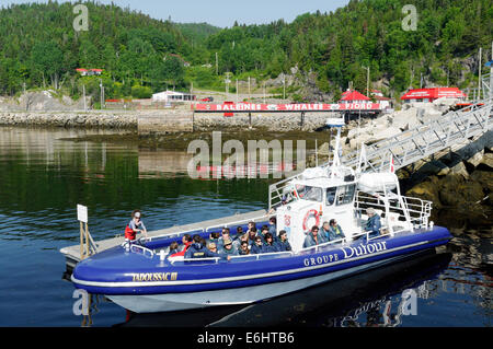 Un zodiac pour une croisière d'observation des baleines dans le Saint-Laurent à Baie Ste Catherine près de Tadoussac, Québec Banque D'Images