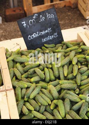 Cornichons frais sur le marché de l'alimentation à Lons le Saunier, Jura, France Banque D'Images