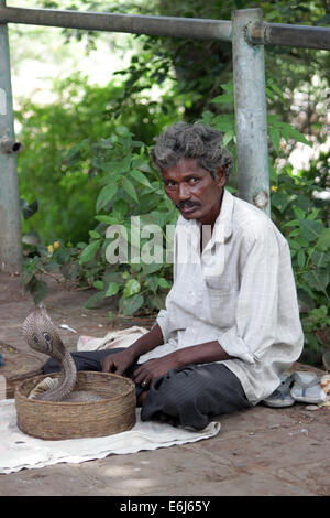 charmeur de l’Indien Banque D'Images