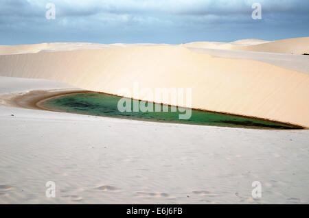 Lagoa Azul dans desert dunes de sable blanc du Parc National Lençois Maranheses au Brésil Banque D'Images