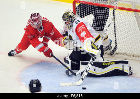 Trinec, République tchèque. 23 août, 2014. 2ème tour du groupe E de la Ligue des champions de hockey sur glace Ocelari Trinec vs Oilers de Stavanger à Trinec, en République tchèque le 23 août 2014. Jiri Polansky de Trinec et gardien des Oilers Stavanger Henrik Holm. Photo : CTK/Alamy Live News Banque D'Images