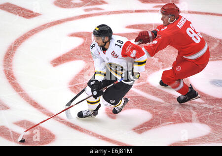 Trinec, République tchèque. 23 août, 2014. 2ème tour du groupe E de la Ligue des champions de hockey sur glace Ocelari Trinec vs Oilers de Stavanger à Trinec, en République tchèque le 23 août 2014. Lukas David des Oilers de Stavanger (à gauche) et Martin de Trinec Adamsky. Photo : CTK/Alamy Live News Banque D'Images