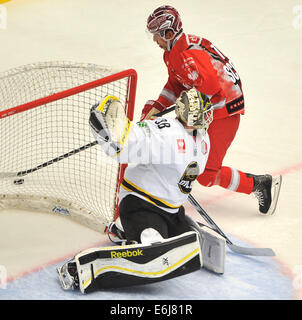 Trinec, République tchèque. 23 août, 2014. 2ème tour du groupe E de la Ligue des champions de hockey sur glace Ocelari Trinec vs Oilers de Stavanger à Trinec, en République tchèque le 23 août 2014. Jiri Polansky de Trinec et gardien des Oilers Stavanger Henrik Holm. Photo : CTK/Alamy Live News Banque D'Images