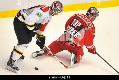 Trinec, République tchèque. 23 août, 2014. 2ème tour du groupe E de la Ligue des champions de hockey sur glace Ocelari Trinec vs Oilers de Stavanger à Trinec, en République tchèque le 23 août 2014. Josh Soares (gauche) de Stavanger et Jiri Oilers Polansky de Trinec. Photo : CTK/Alamy Live News Banque D'Images