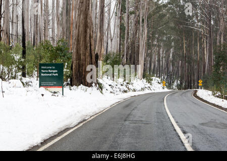 La route du Lac de montagne en parc national de Yarra après une tempête de neige à Victoria, Australie Banque D'Images