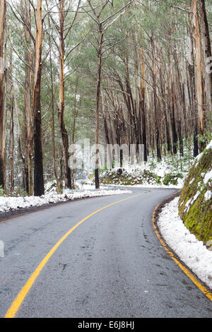 La route du Lac de montagne en parc national de Yarra après une tempête de neige à Victoria, Australie Banque D'Images