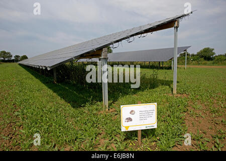 Panneaux solaires à couches minces sur wildlife friendly Belectric ferme solaire à Le Val Lise Cotswolds Nord UK Banque D'Images