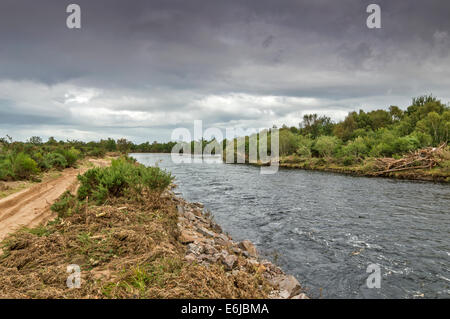 MORAY ECOSSE FINDHORN RIVIÈRE APRÈS INONDATION AVEC BANK LAVÉ ET À PROXIMITÉ DE LA VOIE COUVERTE PAR LE SABLE Banque D'Images