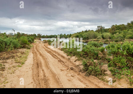 MORAY ECOSSE FINDHORN RIVIÈRE APRÈS INONDATION AVEC VOIE LAVÉ ET COUVERT PAR LE SABLE Banque D'Images