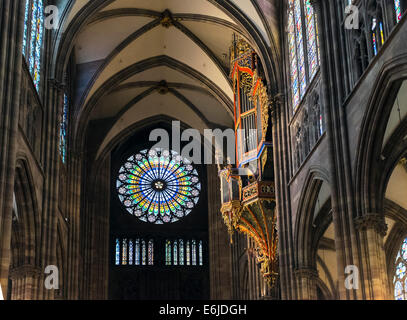 Le grand orgue et rosace de vitraux, Cathédrale gothique Notre-Dame, 14e siècle, Strasbourg, Alsace, France, Europe Banque D'Images