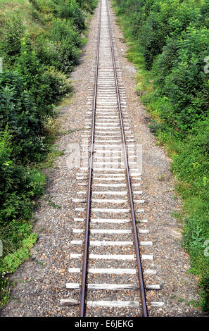 chemin de fer à la campagne, Puy de Dome, Livradois Forez, Auvergne, Massif Central, France Banque D'Images