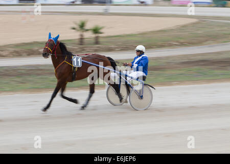 Trotting Marsa race track Valletta Banque D'Images