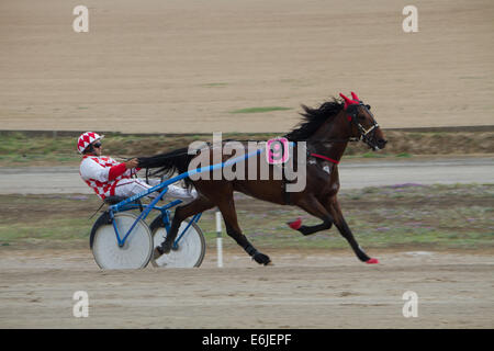 Trotting Marsa race track Valletta Banque D'Images