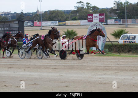 Trotting Marsa race track Valletta Banque D'Images