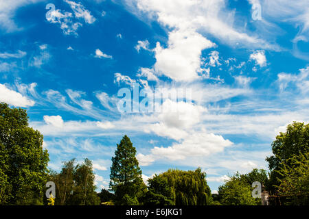 La formation de nuages inhabituels repéré alors que dans Regent's Park à Londres Banque D'Images