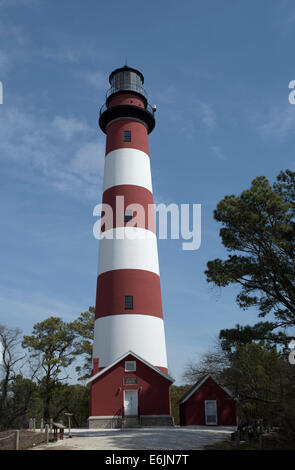 Assateague Island Lighthouse et chambre d'huile Banque D'Images