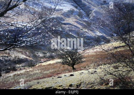 Soleil d'hiver dans la vallée enneigée Welsh Mountain dans le Parc National des Brecon Beacons Banque D'Images
