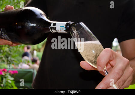 L'homme au service d'une V8 + du Prosecco, un vin blanc pétillant italien Banque D'Images