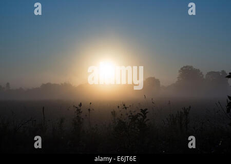 Burning Sun à travers le brouillard au petit matin sur une ferme.