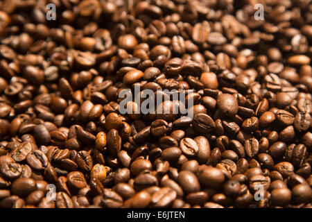 Arrière-plan de délicieux grains de café fraîchement torréfié Banque D'Images