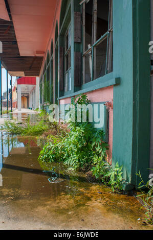 Les résidents de reconstruire, de démolir des maisons et de vendre leurs terres, ou de refuser de revenir à la 9e Ward après l'ouragan Katrina à New Orlean Banque D'Images