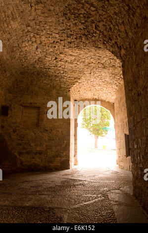 Un arbre dans la lumière à la sortie d'un tunnel en pierre Banque D'Images