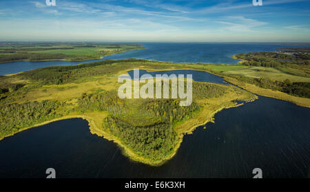 Vue aérienne du lac Müritz, kleine, Mecklenburg Lake District, Vipperow, Mecklembourg-Poméranie-Occidentale, Allemagne Banque D'Images