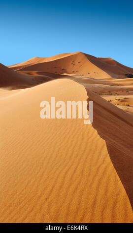 Les dunes de sable du Sahara de l'erg Chebbi, Maroc Banque D'Images