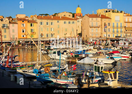 Bateaux de pêche dans le port de Saint-Tropez, Var, Provence-Alpes-Côte d&# 39;Azur, France Banque D'Images