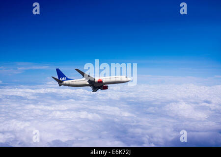 SAS Scandinavian Airlines, Boeing 737-883, en vol Banque D'Images