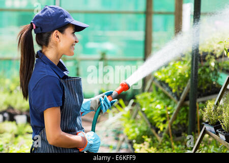 Jolie femme travailleur pépinière watering plants in greenhouse Banque D'Images