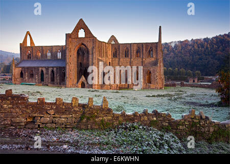 Abbaye de Tintern sur un matin glacial. Banque D'Images