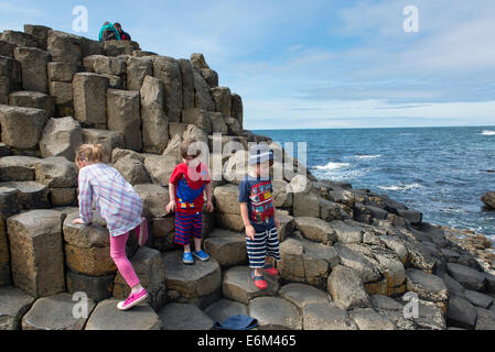 Giant's Causeway ; le comté d'Antrim, en Irlande du Nord ; Irlandais ; Ulster ; Côte Nord ; National Trust ; roches, de colonnes de basalte ; mer ; Banque D'Images