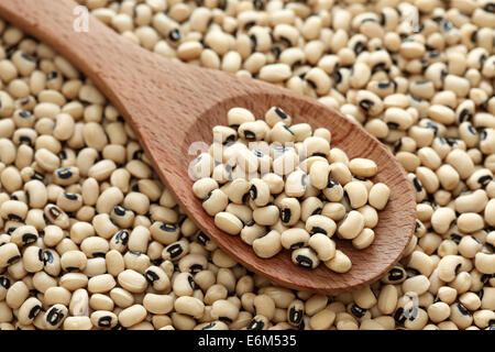 Black Eyed Peas dans une cuillère en bois sur un fond de Black Eyed Peas. Libre. Banque D'Images
