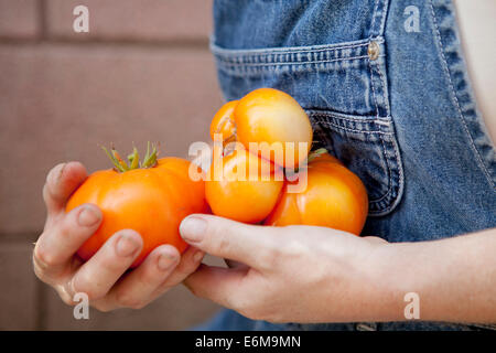 Close-up view of woman holding tomatoes Banque D'Images