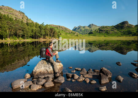 Blea Tarn et le Langdale Pikes, Lake District, Cumbria, England, UK Banque D'Images