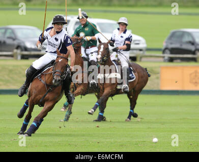 Cristian Laprida de Twelve Oaks joue dans le 2013 Veuve Clicquot Polo Gold Cup Banque D'Images