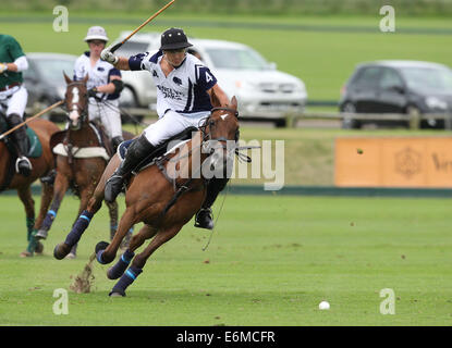 Cristian Laprida de Twelve Oaks joue dans le 2013 Veuve Clicquot Polo Gold Cup Banque D'Images